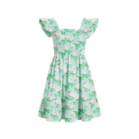 Hill House Dresses & Skirts - Hill House Floral Nap Dress - Blue Roses Poplin